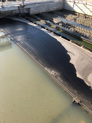 Primary Clarifier - oil spill